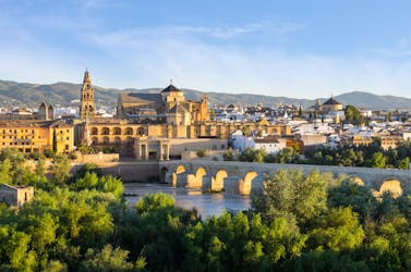 Guided tour and tickets for the Mosque Cathedral of Córdoba and the Jewish quarter